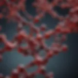 Glycyrrhizin molecular structure