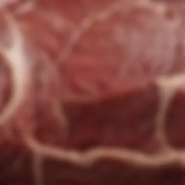 Types of Red Meat and Inflammation Comparison of different types of red meat and their effects