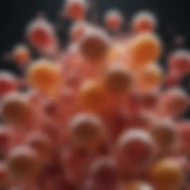 Diverse Types of Lipids and Their Properties Visual representation of various lipid types and their characteristics