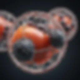 Illustration of lipid molecular structure showing polarity