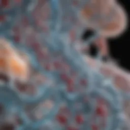 Illustration of membrane protein structure and function