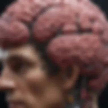 Neuroscience Insights into Mental Enhancement Neuroscience insights into mental enhancement