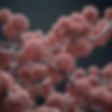 Gene Roles in Mesothelioma Tumor Development Diagram showing the role of specific genes in tumor development