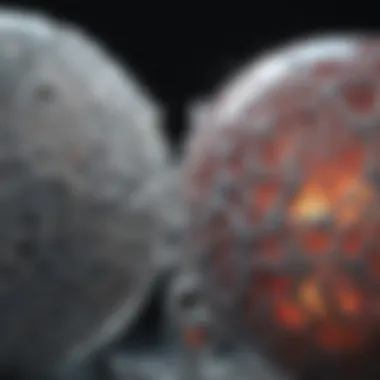Mechanisms of Proteolytic Cleavage Visual representation of proteolytic cleavage mechanisms