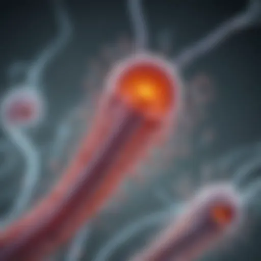 Illustration of biochemical pathways involved in sperm production