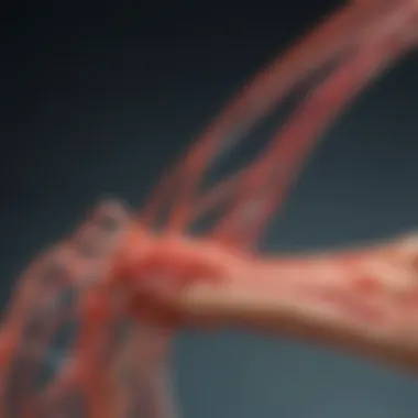 Nerve Pathways Affected by Neuropathy Visualization of nerve pathways affected by neuropathy