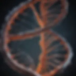 Illustration of DNA double helix structure