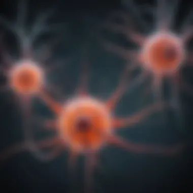 Neurobiological Mechanisms of Dissociation Illustration of neural pathways related to dissociative experiences