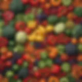 Vibrant assortment of fresh vegetables and fruits showcasing a plant-based diet