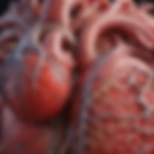 Illustration of a healthy heart vs. an enlarged heart