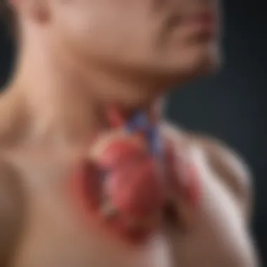 Diagram depicting the symptoms of cardiomegaly