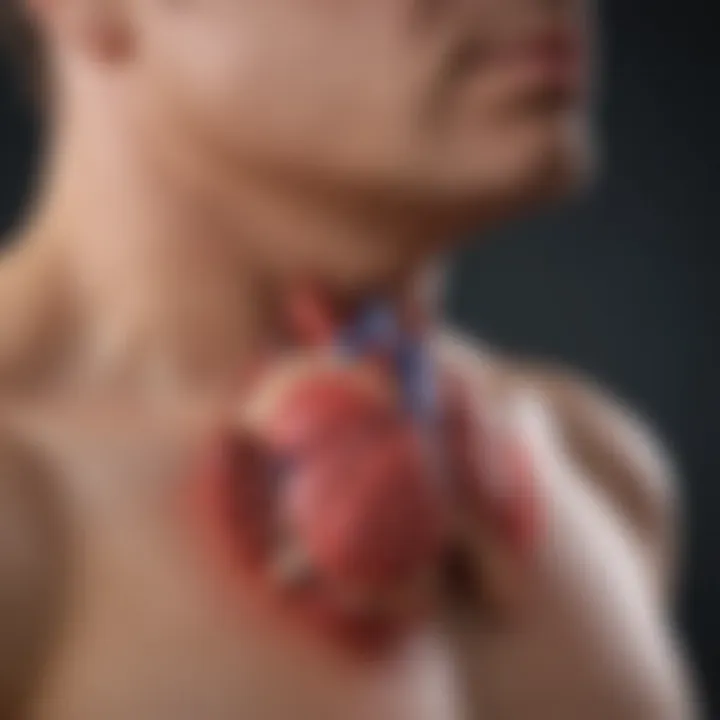 Diagram depicting the symptoms of cardiomegaly