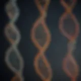 DNA strands illustrating genetic relationships