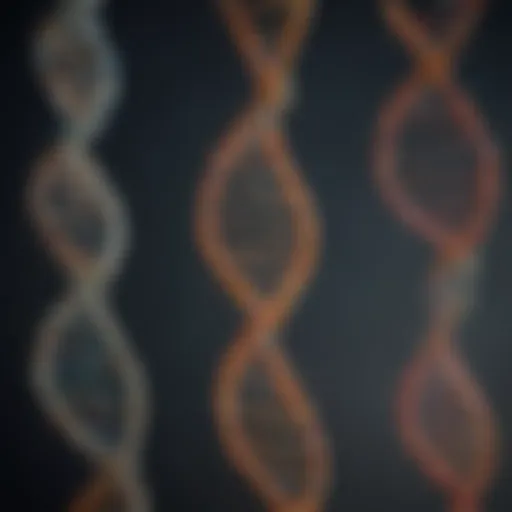 DNA strands illustrating genetic relationships