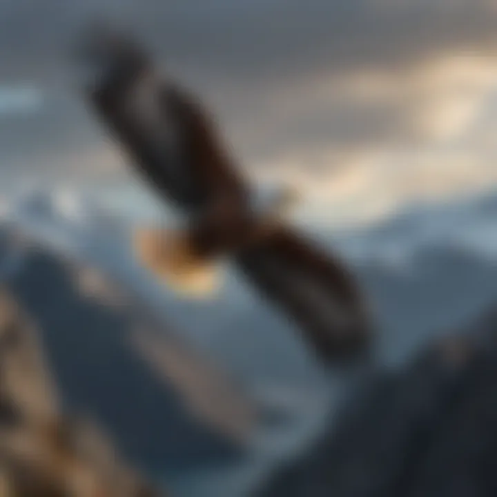 The Steller's Sea Eagle in flight, demonstrating its impressive wingspan against a backdrop of rugged mountains.