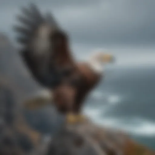 A Steller's Sea Eagle perched majestically on a rocky coastline.