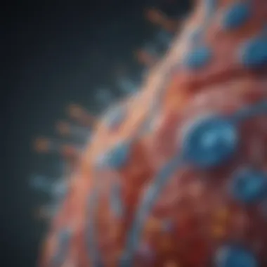 Illustration depicting the role of insulin in glucose regulation within the body