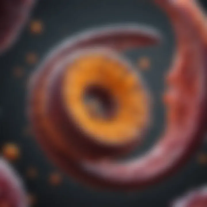 Visual representation of pancreatic enzymes and their significance in digestion