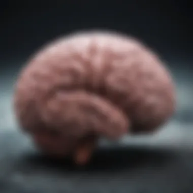 Understanding the Brain and Hallucinations Visual representation of hallucinations in the brain