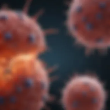 Exploring the Role and Mechanism of Anti-LC3 in Autophagy Regulation Summary Exploring the Role and Mechanism of Anti-LC3 in Autophagy Regulation Summary