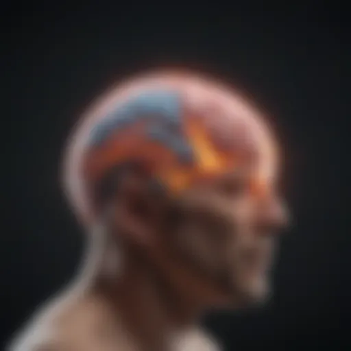 Visual representation of the brain highlighting anxiety-related areas