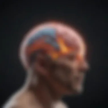 Neuroscience of Anxiety Visual representation of the brain highlighting anxiety-related areas