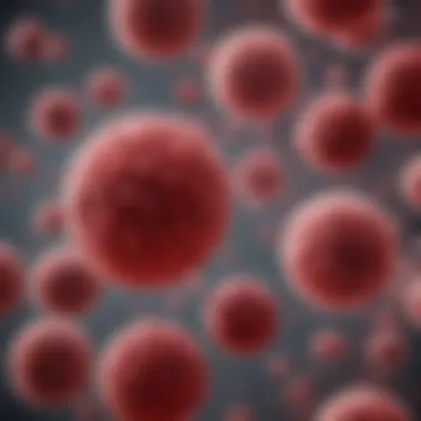 Microscopic Analysis of Thrombocytopenia Microscopic view of blood cells highlighting thrombocytopenia