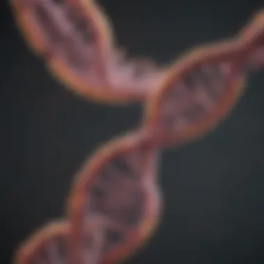 RNA Polymerase in Action Graphical representation of RNA polymerase activity during transcription