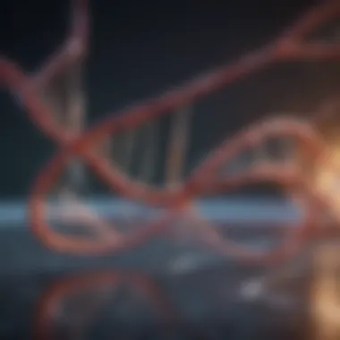 The Transcription Process Diagram illustrating the transcription process from DNA to mRNA