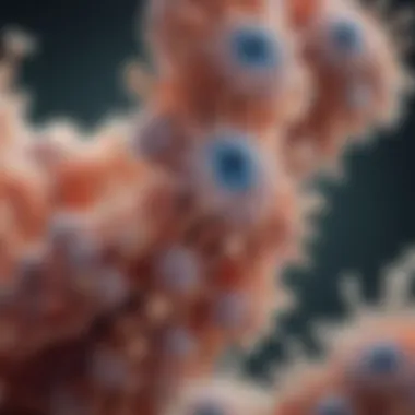 Microscopic Examination of Candida Microscopic view of Candida species