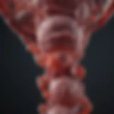 Genetic Structure of Hemophilia A Mutation Genetic structure of Hemophilia A mutation