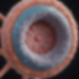 Detailed diagram of giant cell tumor