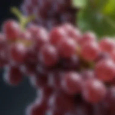 Chemical Structures of Grape Compounds A scientific illustration of polyphenols and antioxidants found in grapes, highlighting their chemical structures.