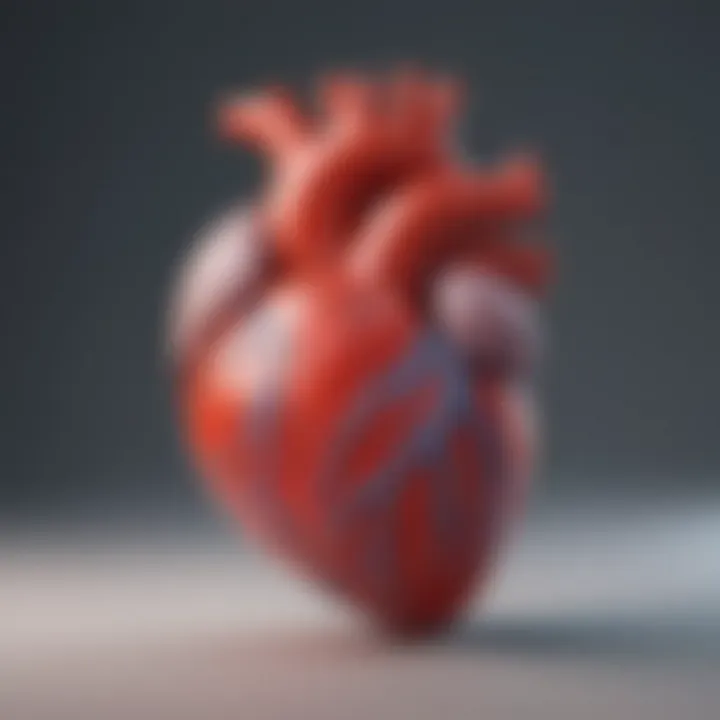 Illustration of the heart highlighting cardiovascular health