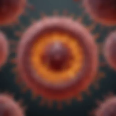 A visual representation of the hepatitis C virus structure