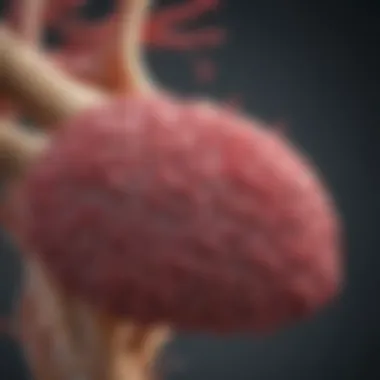 Benefits of Hormone Therapy in Liver Cancer Graph showing benefits of hormone therapy in liver cancer outcomes
