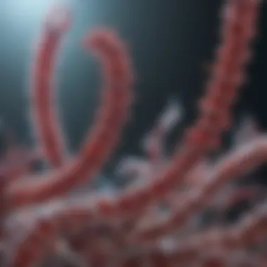 Understanding the Implications of RNA Sequencing on Microbial Biology Implications for Microbial Biology