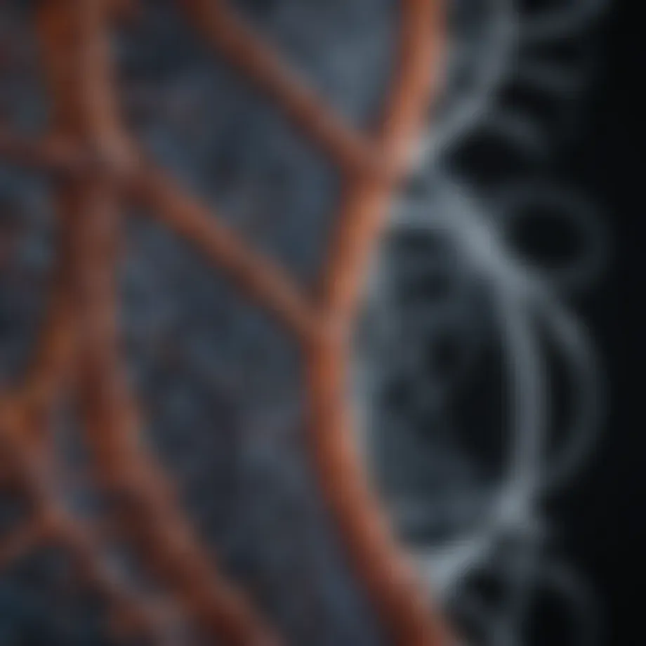 Visualization of cellular structures using fluorescence microscopy