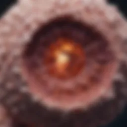 Microscopic view of invasive squamous cell carcinoma