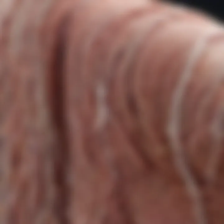Close-up of a muscle fiber under a microscope