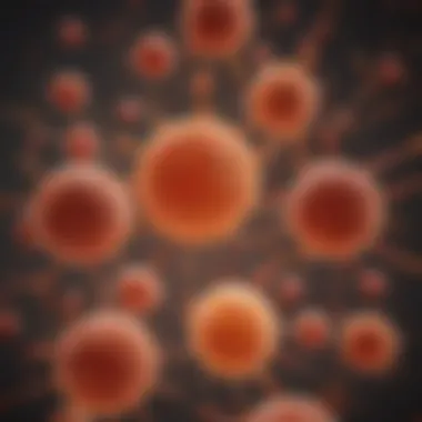 A diagram illustrating different types of leukemia