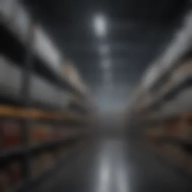 Industry Applications of Lighting Storage Solutions Diverse applications of lighting storage across various industries