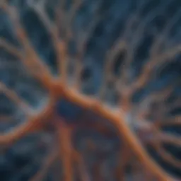 Luxol Fast Blue stained neural tissue showcasing myelin structures