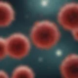 Microscopic view of mast cells in a blood sample