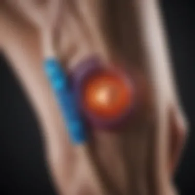 Mechanism of Laser Therapy for Pain Relief Diagram explaining the mechanism of laser therapy.