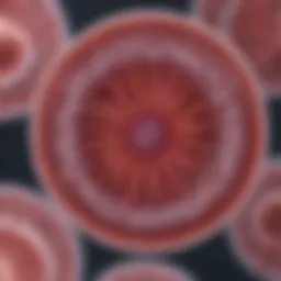 Microscopic view of Trichomonas vaginalis