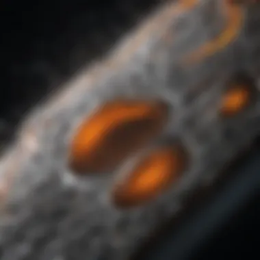 Mold Filling Dynamics Visual representation of mold filling dynamics influenced by viscosity.