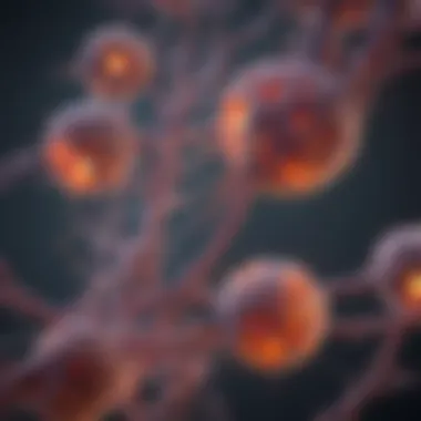 Molecular Pathways in Adenoma Carcinoma Diagram illustrating the molecular pathways involved in adenoma carcinoma