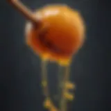 Close-up of monofloral honey dripping from a honey dipper