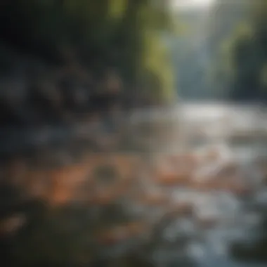 Migration Patterns of Fish Fish migrating through a river, illustrating migration patterns.